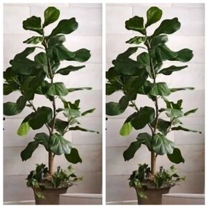 Artificial 5ft Fiddle Leaf Fig Tree in Pot